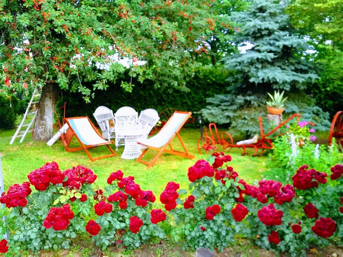 Klet Cinkus Bed & Breakfast Hrvatski Leskovac Exterior photo